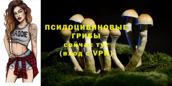 ALPHA-PVP Надым