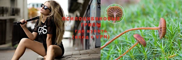гидропоника Верея