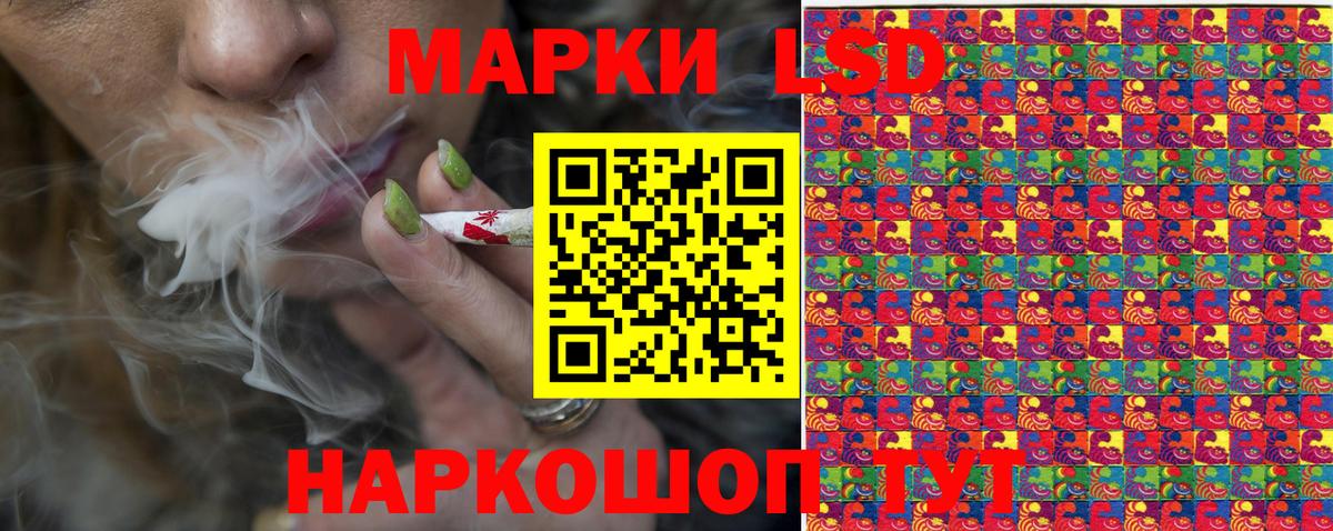 Новокубанск  Наркотические марки 1500мкг  Вход с VPN  продажа наркотиков  Наркотические марки 1500мкг 