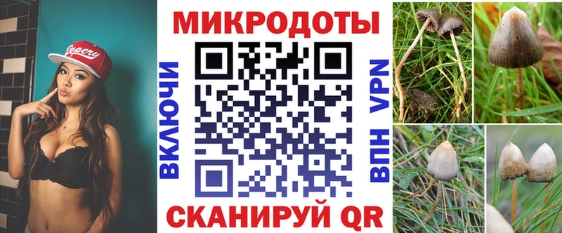 Псилоцибиновые грибы ЛСД  закладки  Новокубанск 