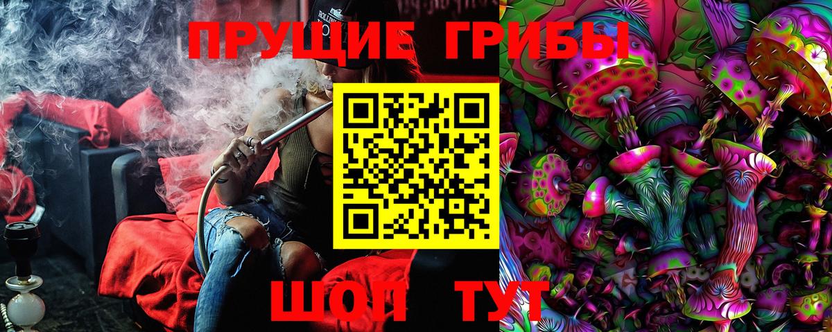 Галлюциногенные грибы мухоморы Новокубанск