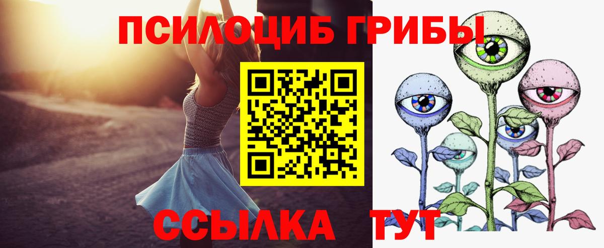 Галлюциногенные грибы мухоморы Новокубанск