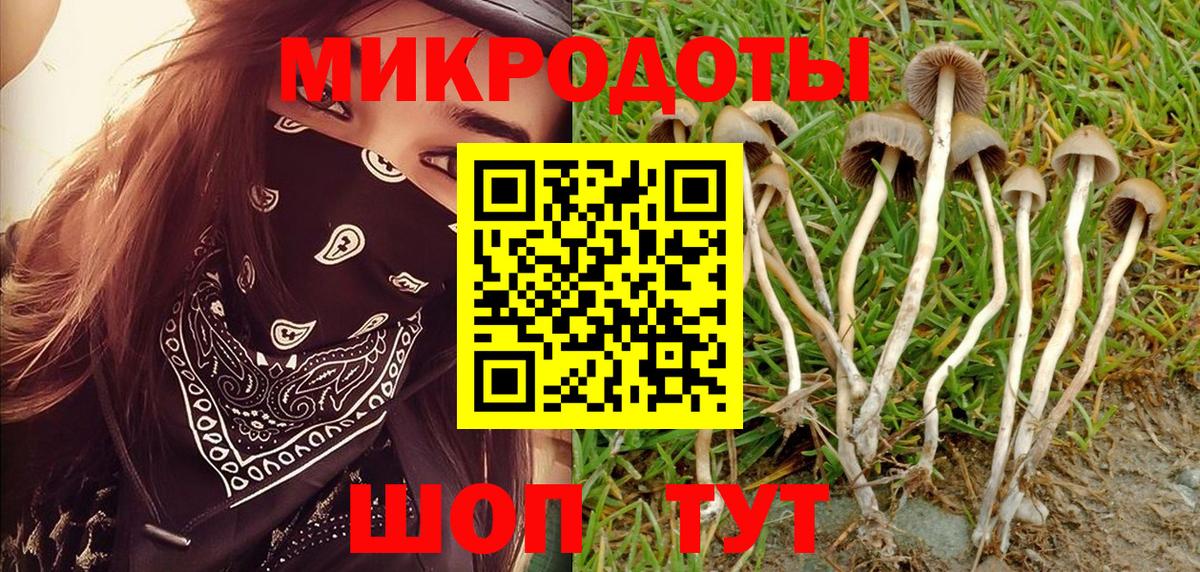 Новокубанск  Псилоцибиновые грибы ЛСД  Вход с VPN  Псилоцибиновые грибы Psilocybe 