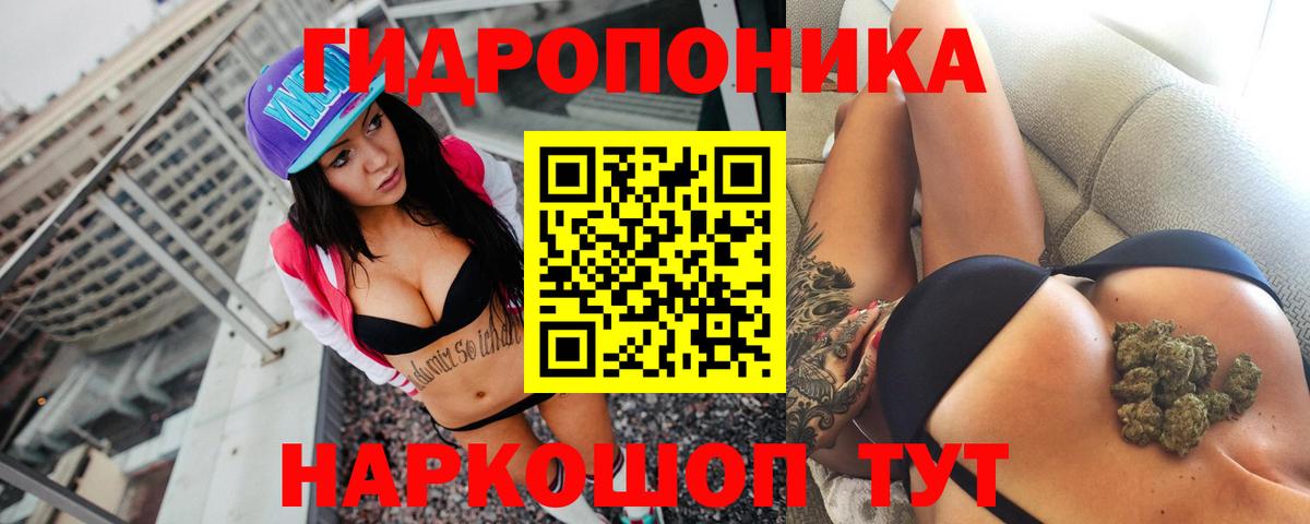 Бошки Шишки семена Новокубанск